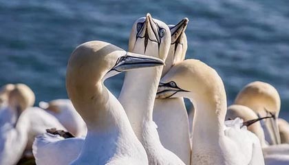 九游娱乐登录-意甲逆转胜利：坚持到最后的荣耀时刻，意甲怎么夺冠