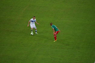 九游娱乐官方-中国足球对抗频次与伤病风险相关性，足球 对抗